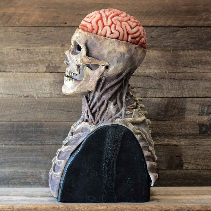 Skelet Brain™ - Alleen vandaag: Inc. Gratis hoed!