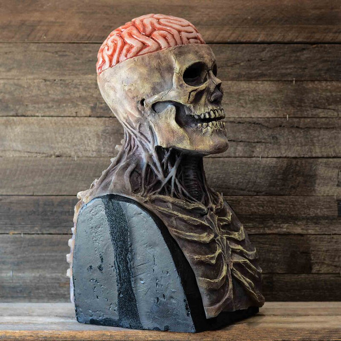 Skelet Brain™ - Alleen vandaag: Inc. Gratis hoed!